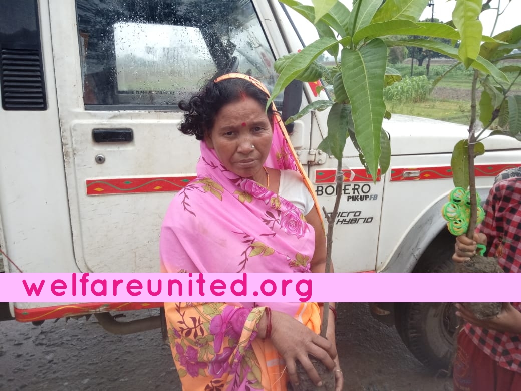 Mango trees donation  drive