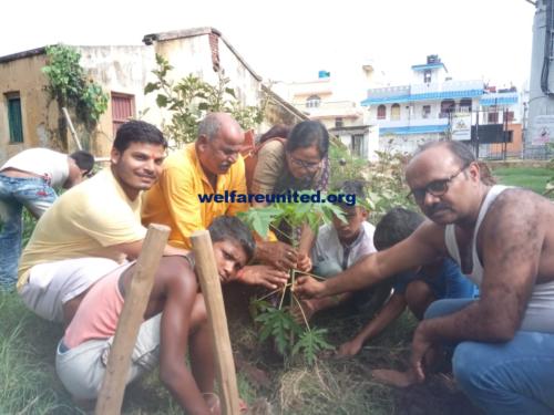 plantation drive on 07-07-2019