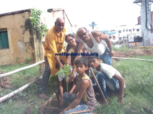 plantation drive on 07-07-2019