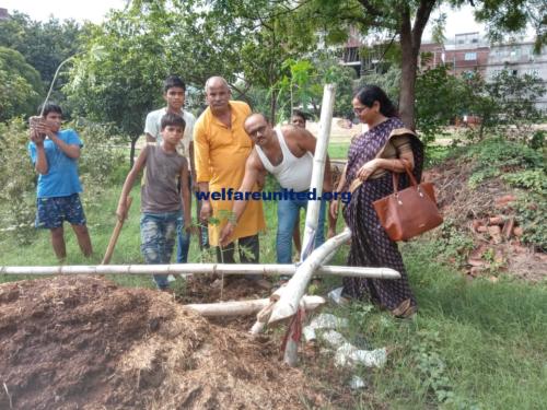 plantation drive on 07-07-2019