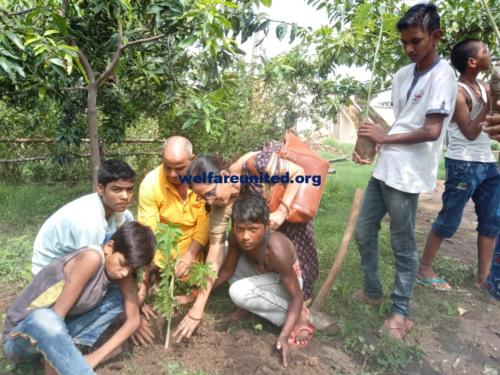 plantation drive on 07-07-2019 welfareunited.org