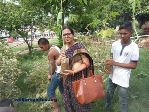 plantation drive on 07-07-2019