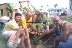 plantation2_patna_07-07-2019